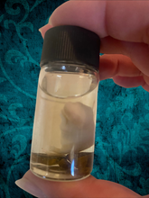 Load image into Gallery viewer, Wet Specimen Pinkie Mice