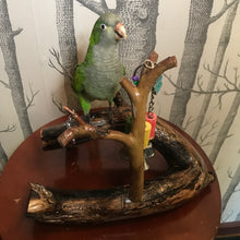 Load image into Gallery viewer, Pet memorial Archie the green Quaker