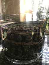 Load image into Gallery viewer, Pet memorial Python wet specimen