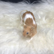 Load image into Gallery viewer, Pet memorial mouse full taxidermy