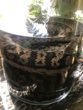 Load image into Gallery viewer, Pet memorial Python wet specimen