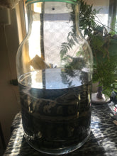 Load image into Gallery viewer, Pet memorial Python wet specimen
