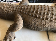 Load image into Gallery viewer, Restoration life size alligator