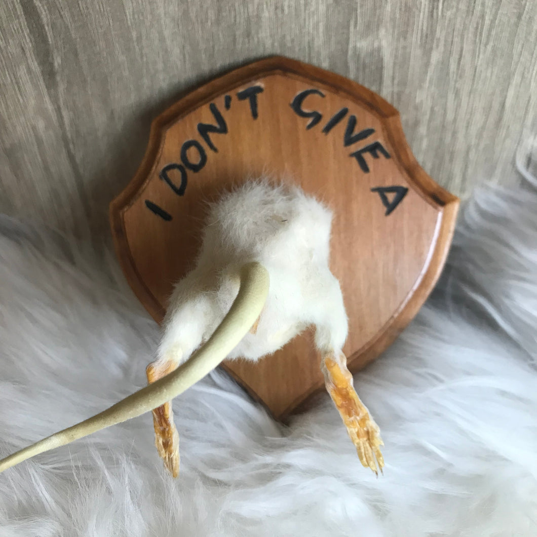 I don’t give a…