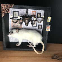 Load image into Gallery viewer, Rat Spooky Shadow Boxes