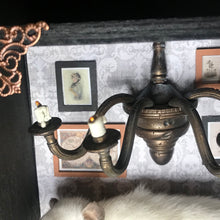 Load image into Gallery viewer, Rat Spooky Shadow Boxes