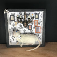 Load image into Gallery viewer, Rat Spooky Shadow Boxes