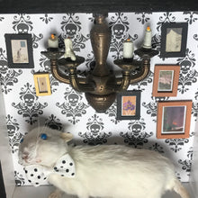 Load image into Gallery viewer, Rat Spooky Shadow Boxes