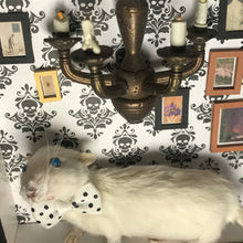 Load image into Gallery viewer, Rat Spooky Shadow Boxes
