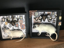 Load image into Gallery viewer, Rat Spooky Shadow Boxes