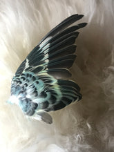 Load image into Gallery viewer, Pet memorial budgie wing