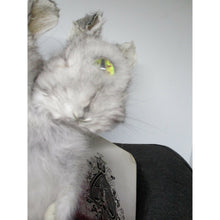 Load image into Gallery viewer, conjoined rabbit taxidermy