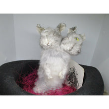 Load image into Gallery viewer, conjoined rabbit taxidermy