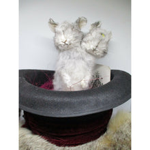 Load image into Gallery viewer, conjoined rabbit taxidermy