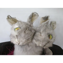 Load image into Gallery viewer, conjoined rabbit taxidermy