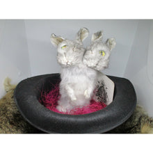 Load image into Gallery viewer, conjoined rabbit taxidermy