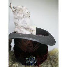 Load image into Gallery viewer, conjoined rabbit taxidermy