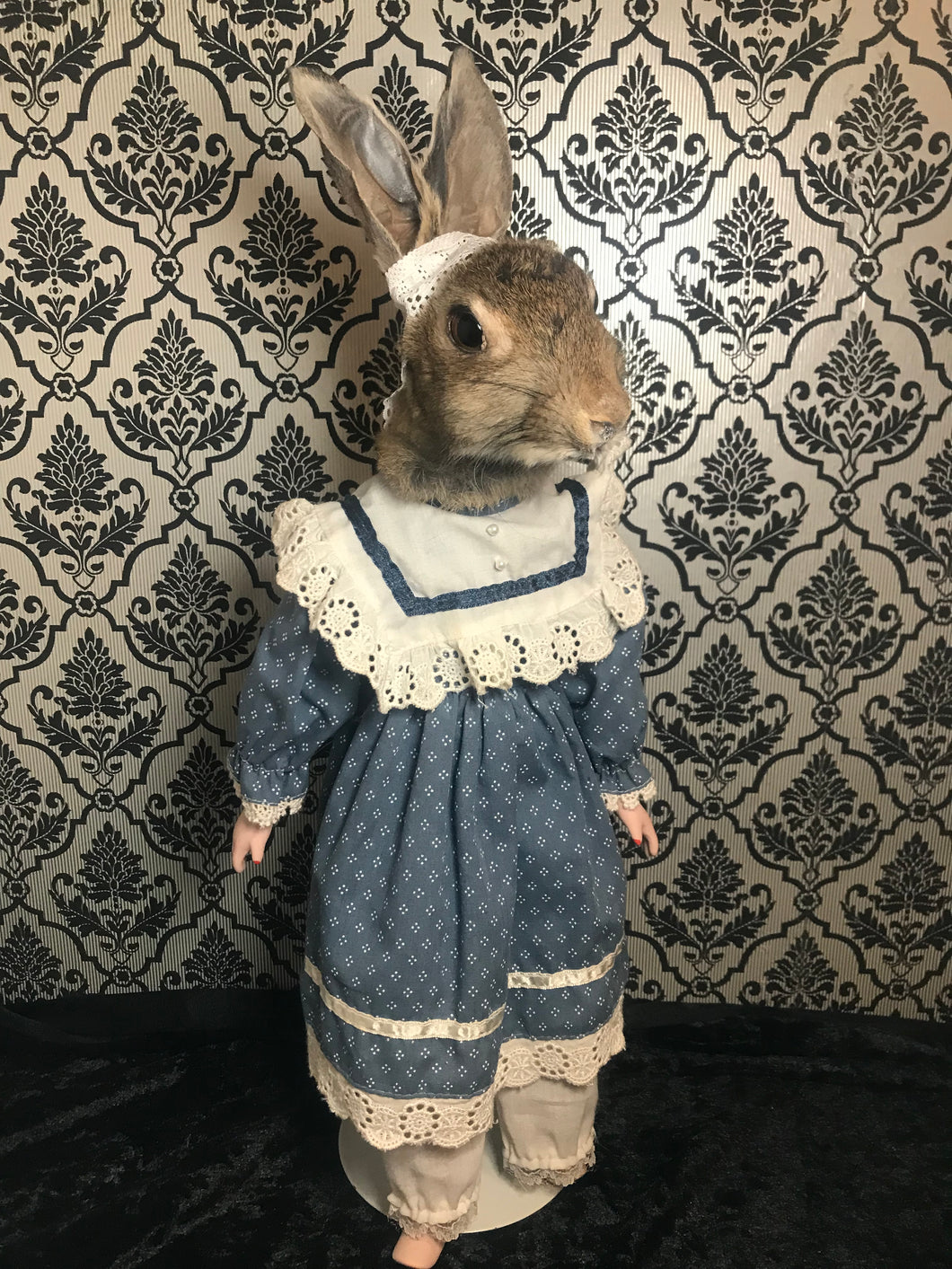 Alice bunny doll