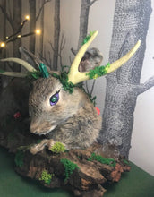 Load image into Gallery viewer, Taxidermy Rabbit, fantasy forest style