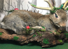 Load image into Gallery viewer, Taxidermy Rabbit, fantasy forest style