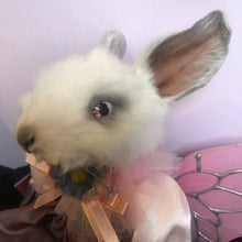 Load image into Gallery viewer, Bella Bunny doll