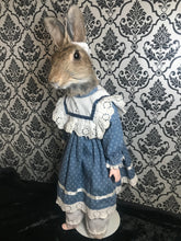 Load image into Gallery viewer, Alice bunny doll
