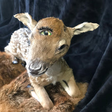 Load image into Gallery viewer, Taxidermy fawn fantasy creature