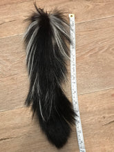 Load image into Gallery viewer, Skunk tail
