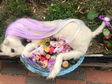 Load image into Gallery viewer, Taxidermy whimsical lamb