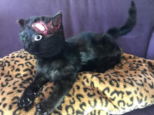Load image into Gallery viewer, Black cat taxidermy