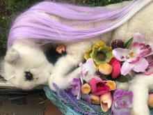 Load image into Gallery viewer, Taxidermy whimsical lamb