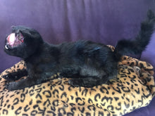 Load image into Gallery viewer, Black cat taxidermy