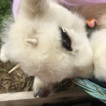 Load image into Gallery viewer, Taxidermy whimsical lamb