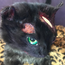 Load image into Gallery viewer, Black cat taxidermy