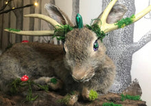 Load image into Gallery viewer, Taxidermy Rabbit, fantasy forest style