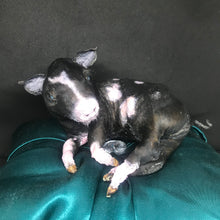 Load image into Gallery viewer, Dot the piglet
