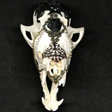 Load image into Gallery viewer, Fox skull decorated
