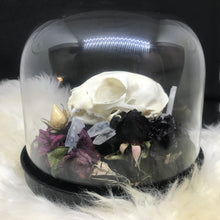 Load image into Gallery viewer, Cat skull memorial dome
