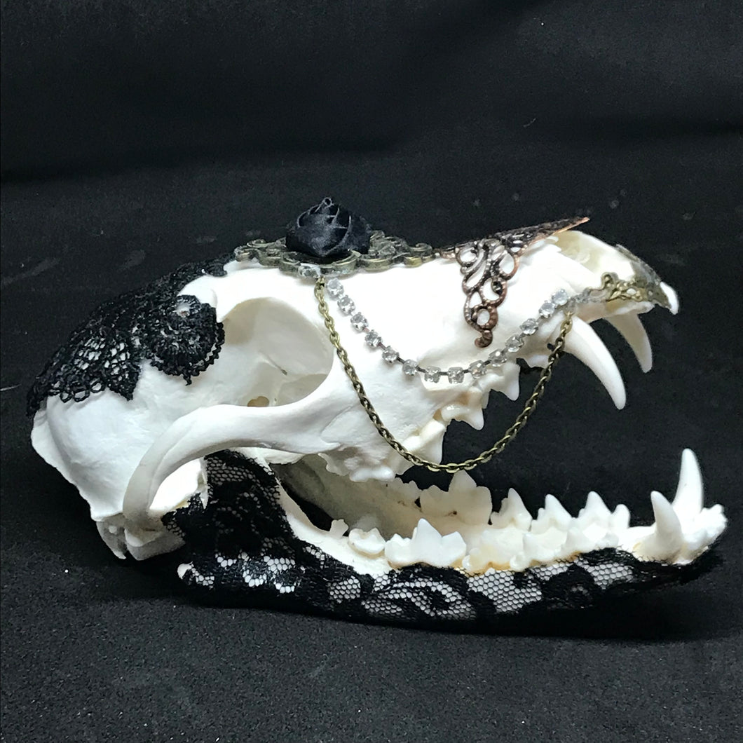Fox skull decorated