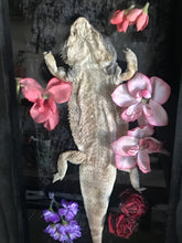 Load image into Gallery viewer, pet memorial bearded dragon
