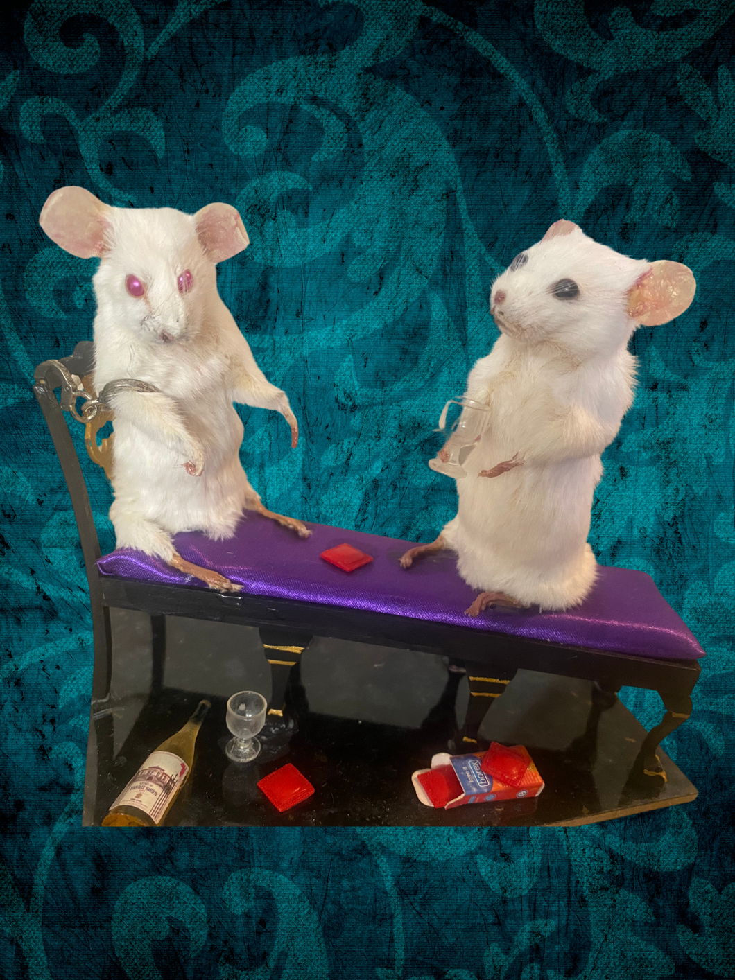 Adults only mice