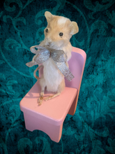 Load image into Gallery viewer, Cutie Mouse on pink chair
