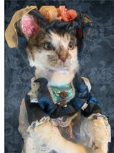 Load image into Gallery viewer, Softmount cat Doll
