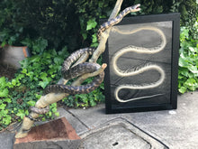 Load image into Gallery viewer, Pet memorial python
