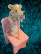 Load image into Gallery viewer, Cutie Mouse on pink chair
