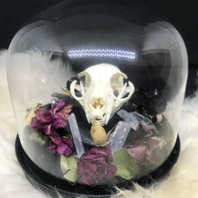 Load image into Gallery viewer, Cat skull memorial dome
