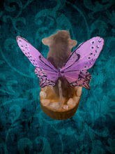 Load image into Gallery viewer, Fairy Mouse
