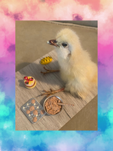 Load image into Gallery viewer, Pastry Chick
