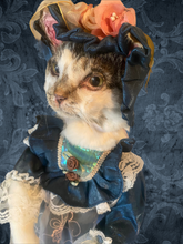 Load image into Gallery viewer, Softmount cat Doll
