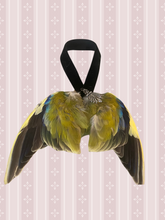 Load image into Gallery viewer, Bird wing hanging display
